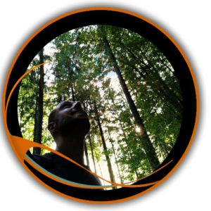 eco responsable en forêt